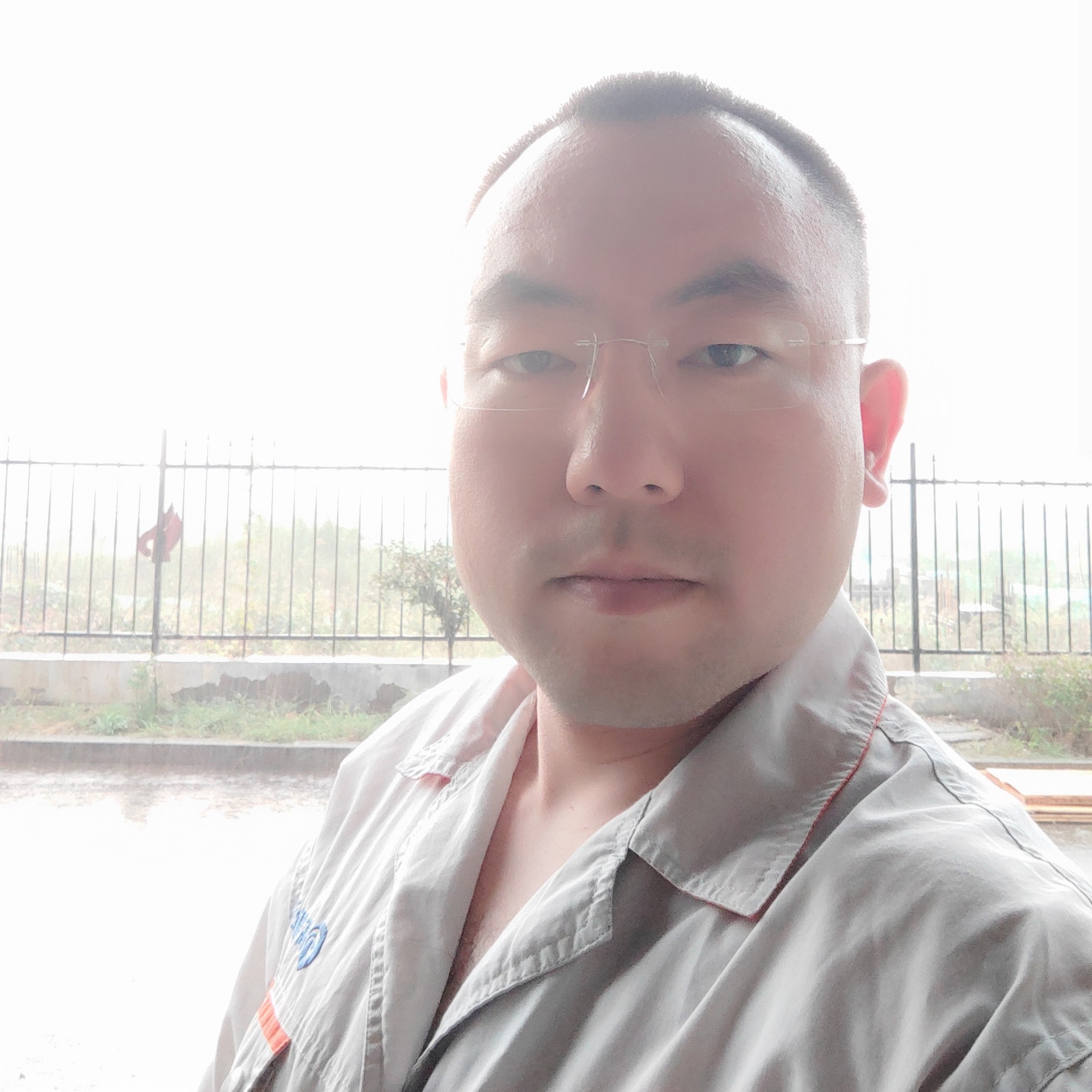 飞翔得彩虹的照片