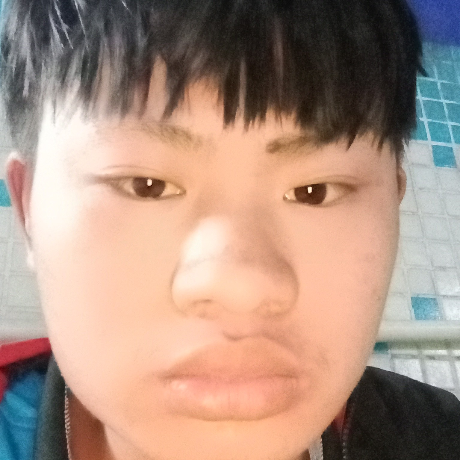 无聊倾心大雁的照片
