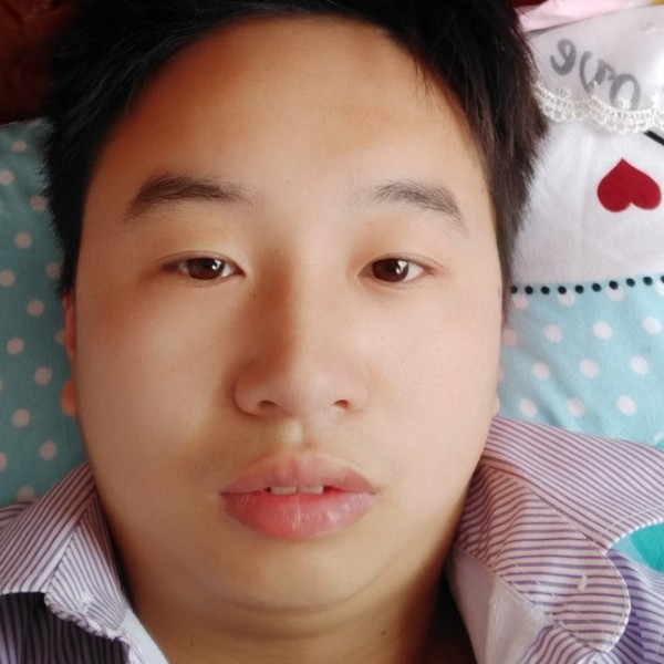 春天放弃迅速的照片