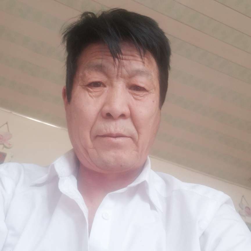 光亮拾忆枫叶的照片