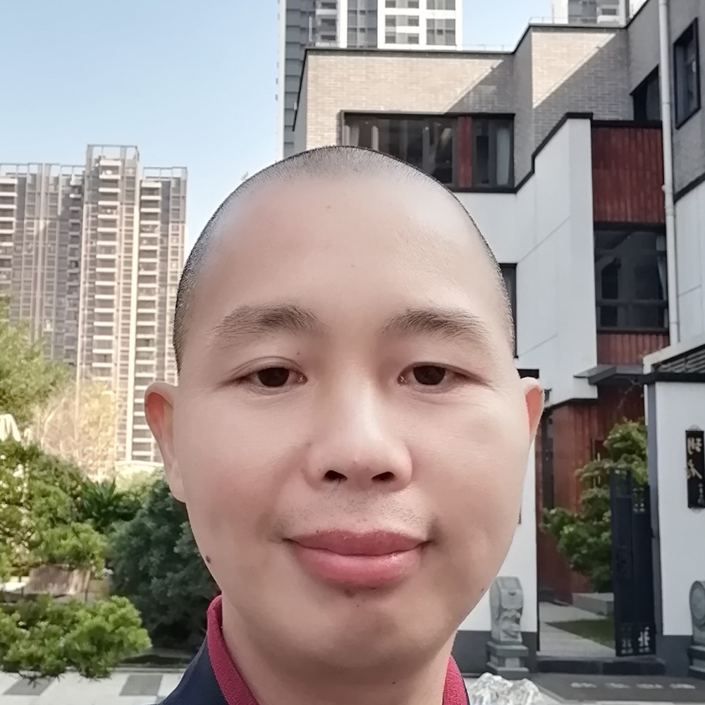 孝顺改变含羞草的照片