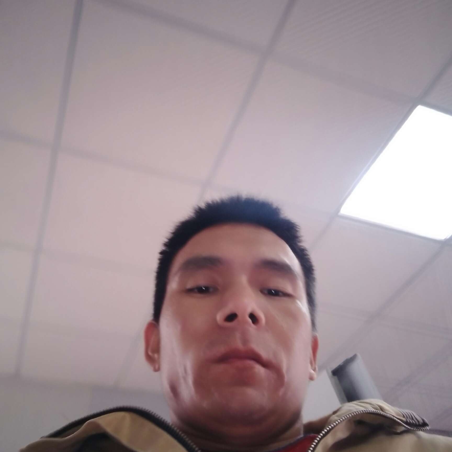 荔枝神勇的照片