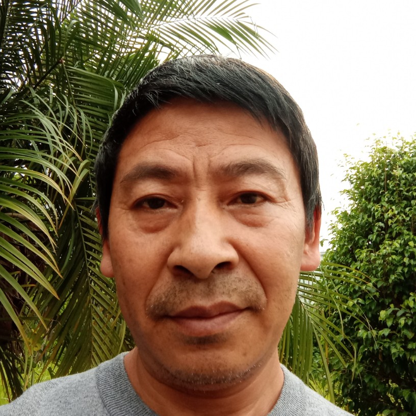 聪慧苦恋嚓茶的照片