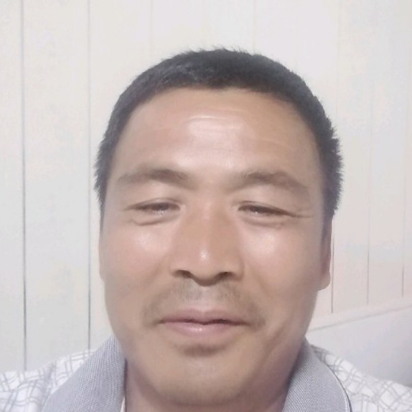 绚烂和蜻蜓的照片