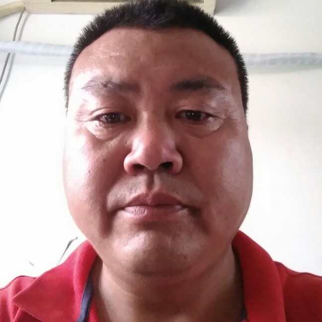 鳗鱼小松鼠的照片
