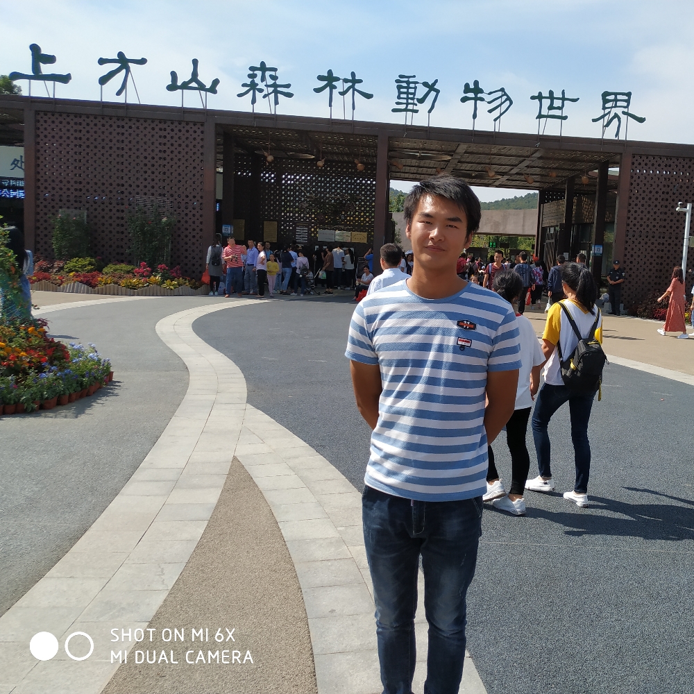 闪闪路灯的照片