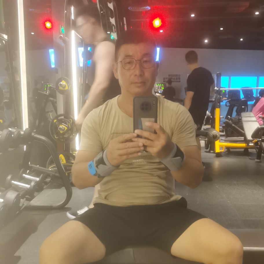 南方孤雁的照片