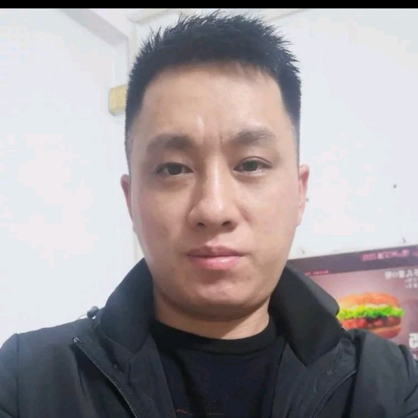 轻风抚叶的照片