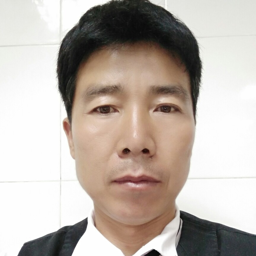 无辜向日葵的照片