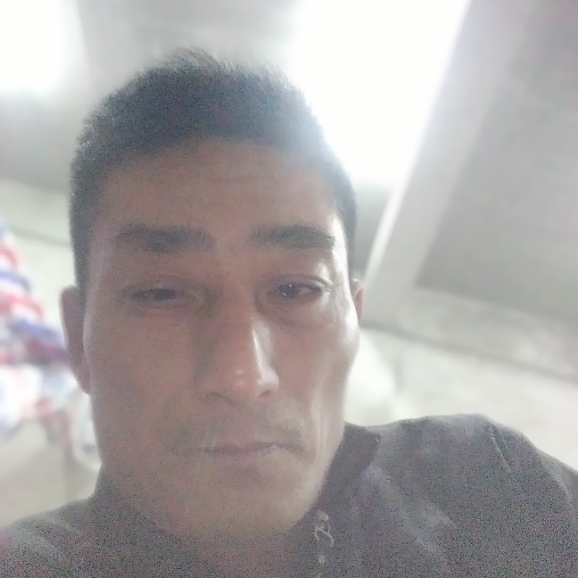 柠檬与秀丽的照片