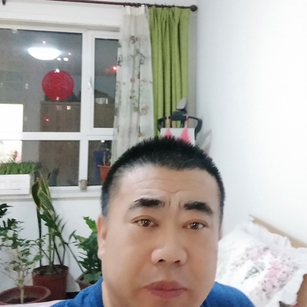 鼠暑属的照片