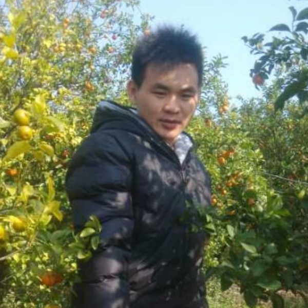 淡淡停止手机的照片