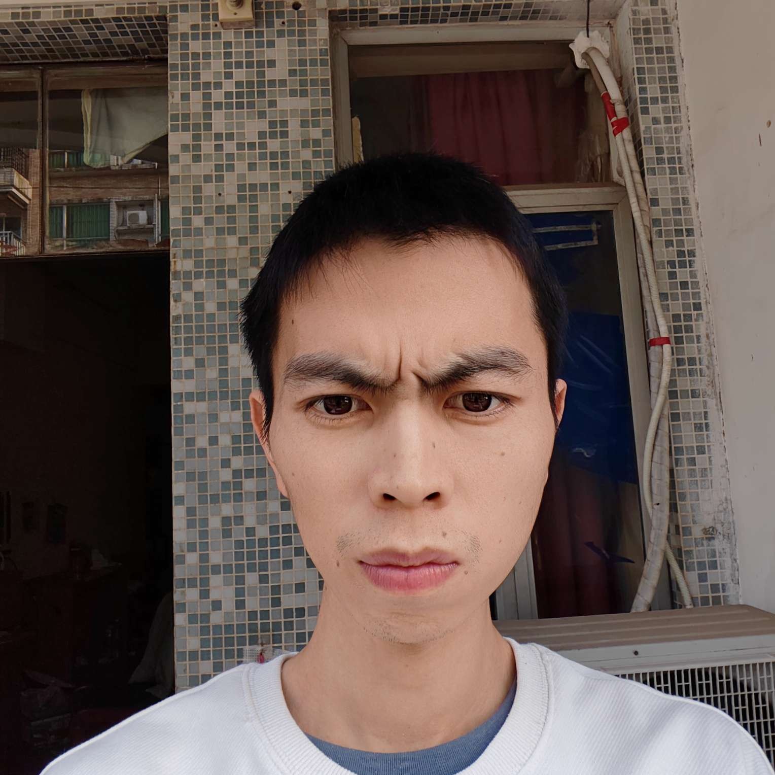 蓝莓演变沉默的照片