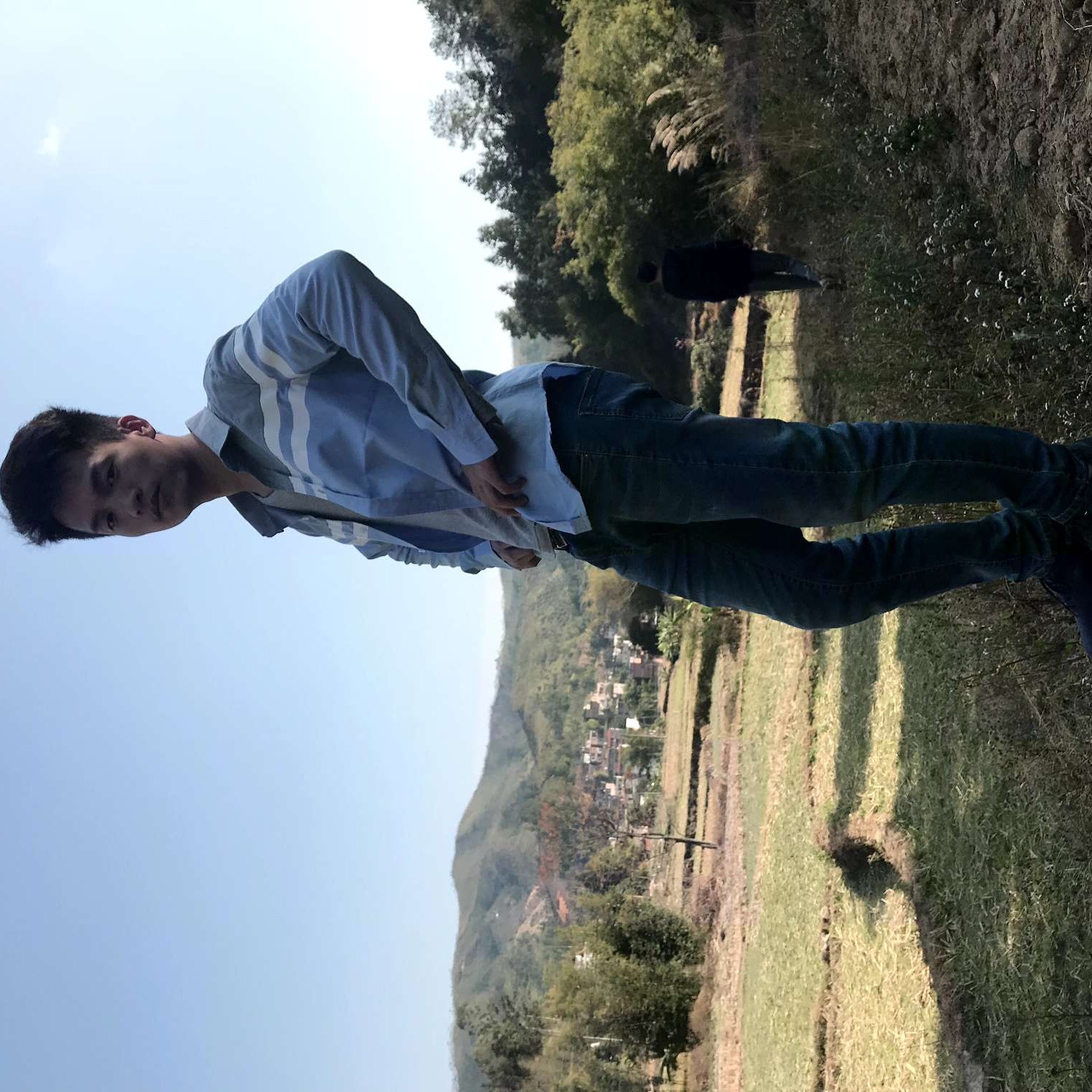 斯文踢画笔的照片