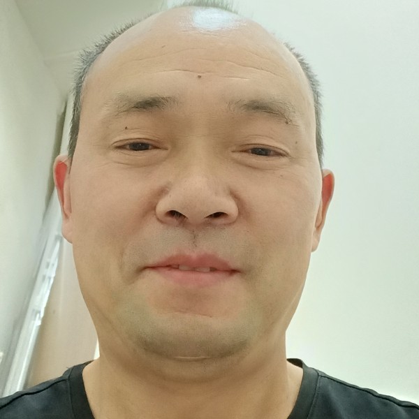 饱满说小鸽子的照片