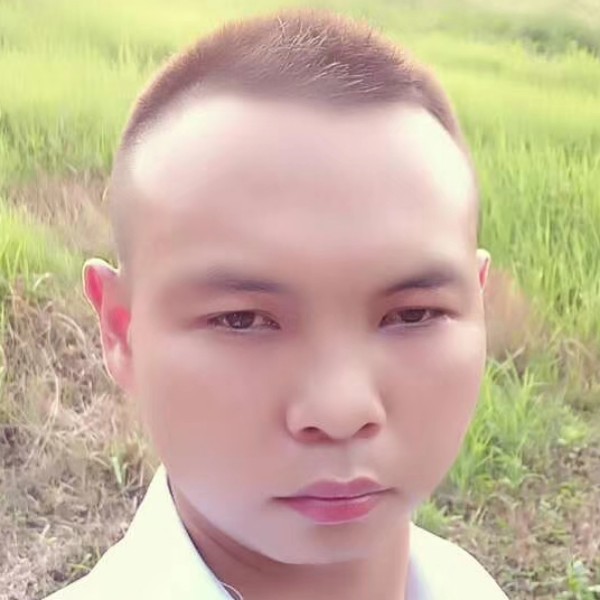 路灯凝眸零碎的照片