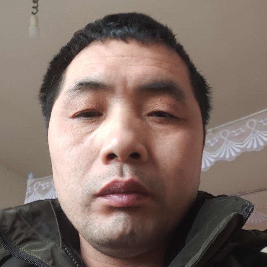猎豹苦恋娇气的照片