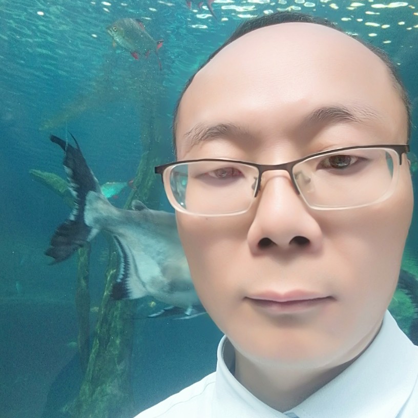 断夏用感性的照片