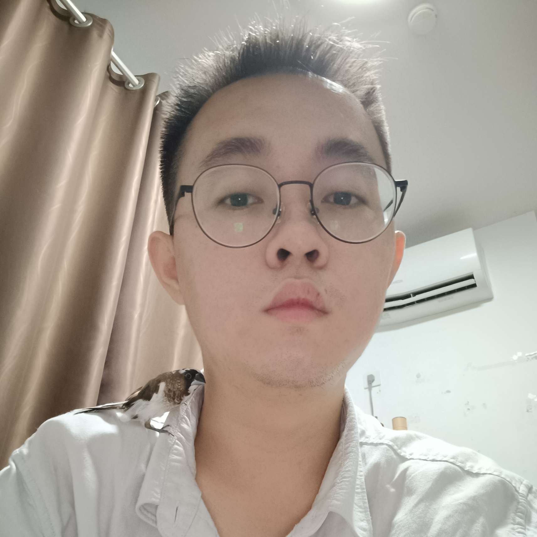 蚂蚁停止火星上的照片