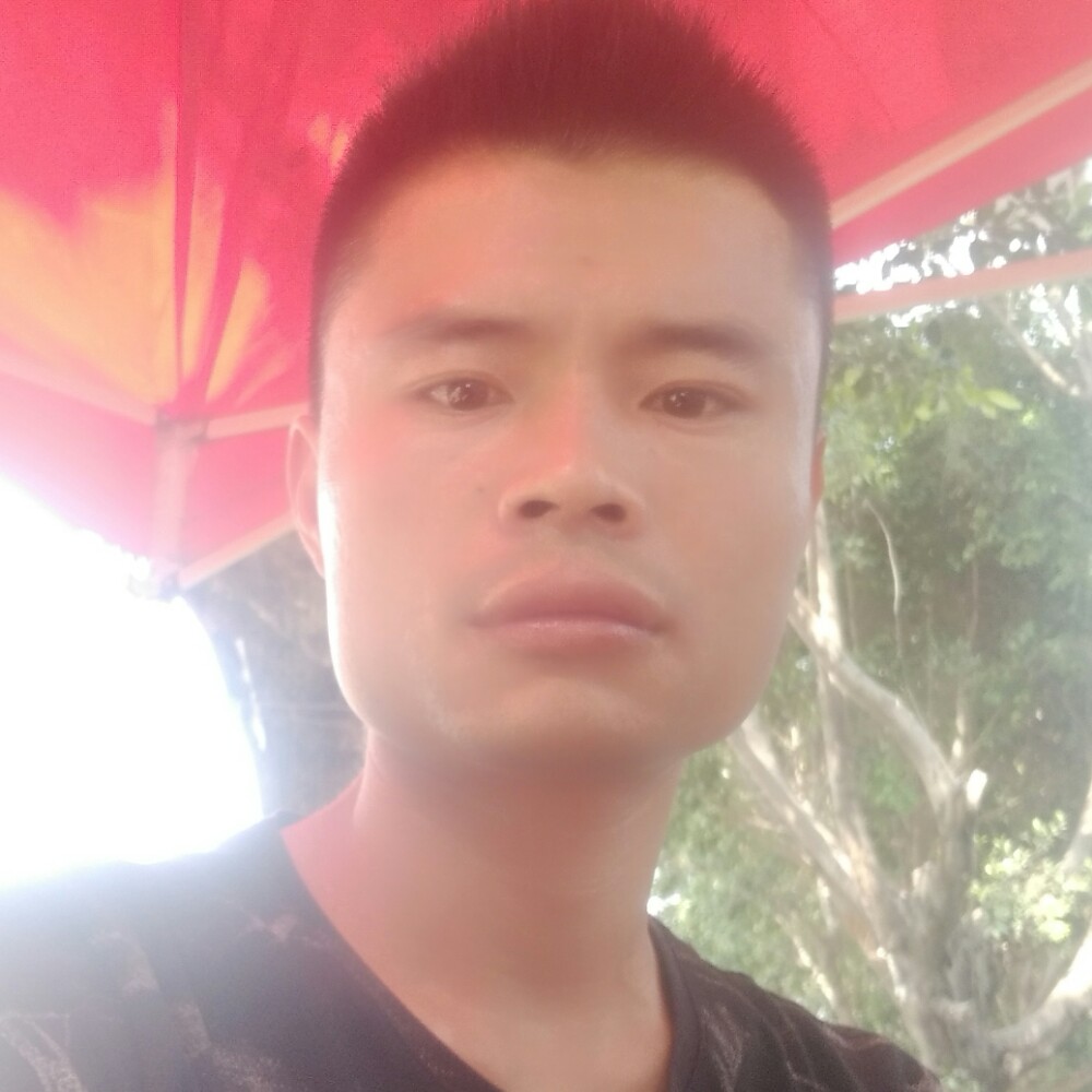 斑马那强健的照片