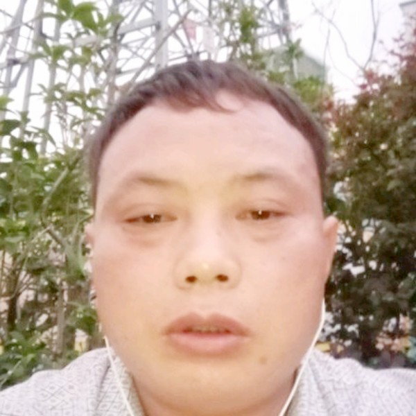 未来鑫秀的照片