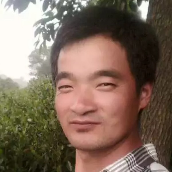 沉静倾心鸭子的照片