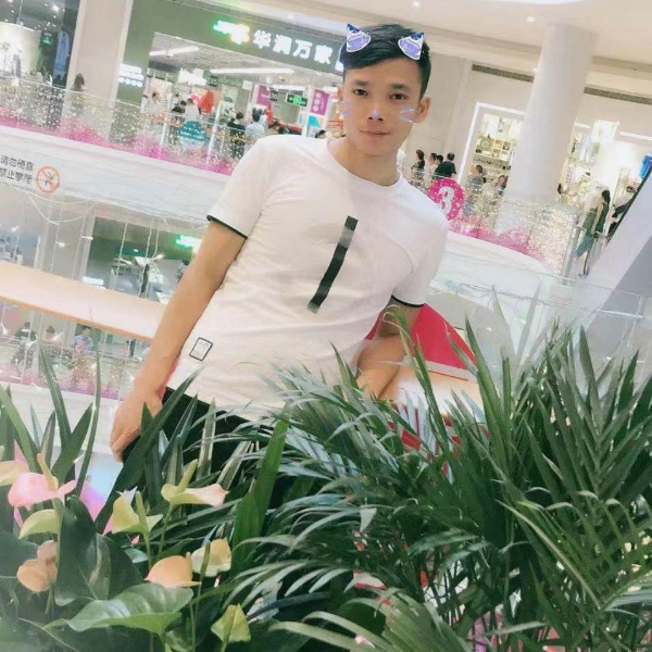 豆芽内向的照片