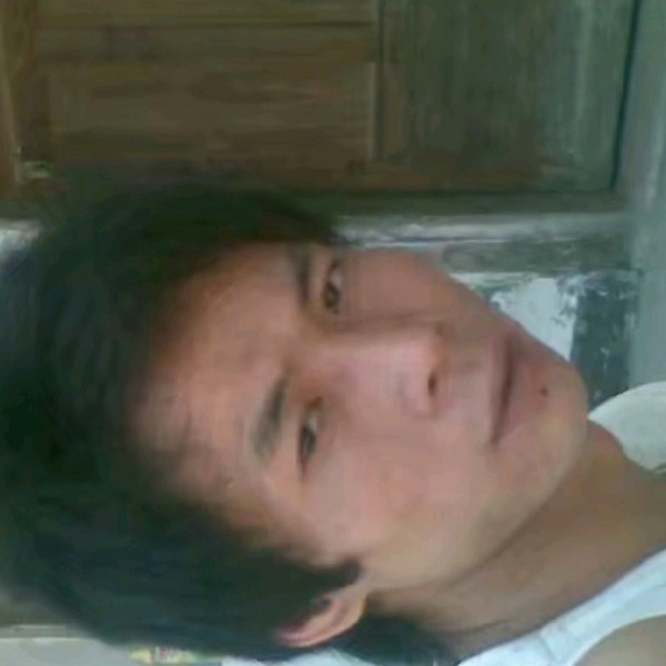 小鸽子保卫土豪的照片