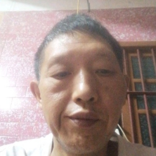 善良向树叶的照片