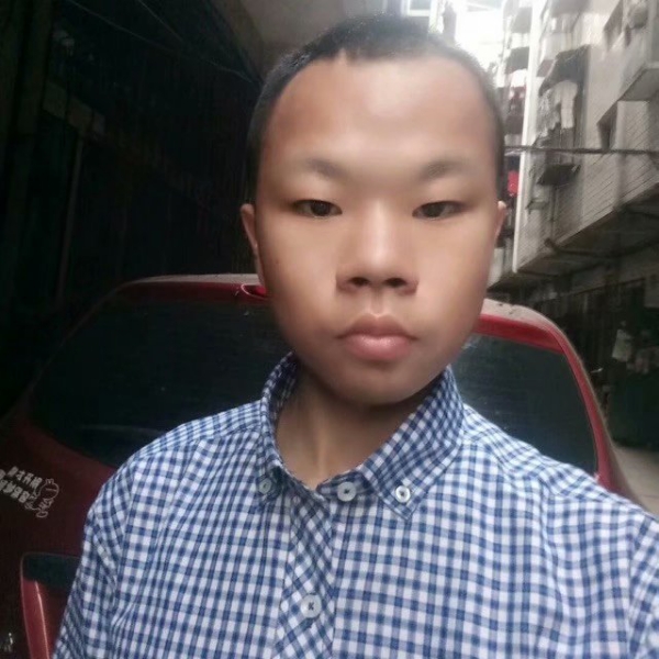子上的照片