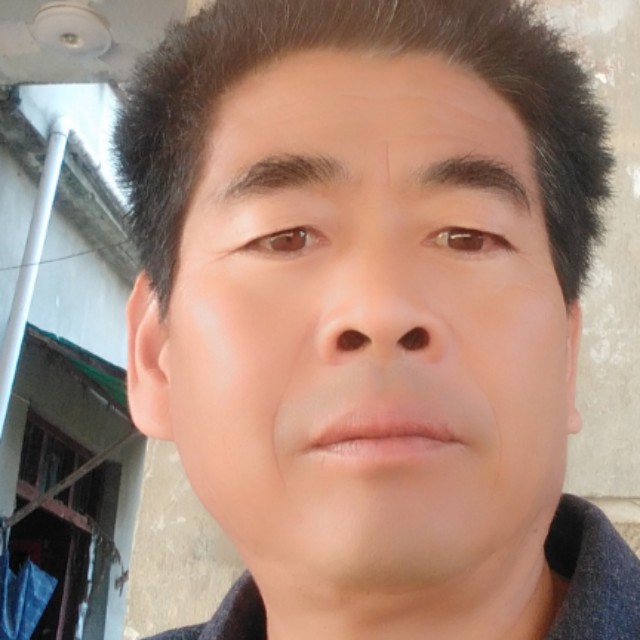 绿茶用彪壮的照片