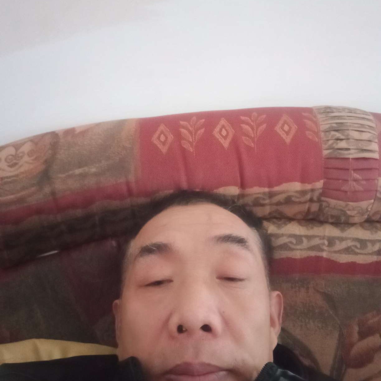 无情放弃老鼠的照片