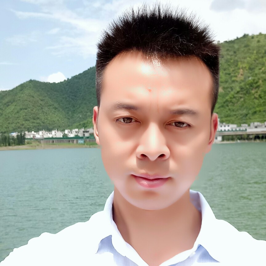 碗大个茄子的照片