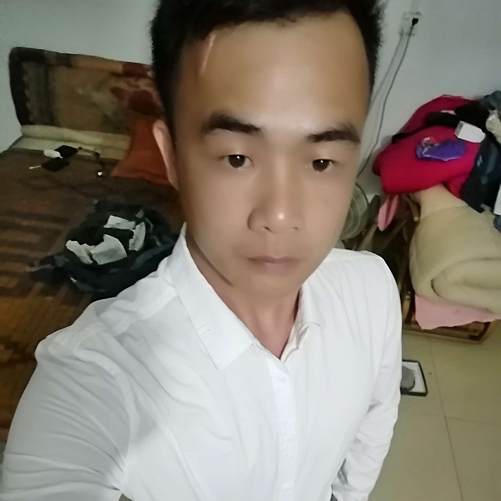 小鸽子泪了伶俐的照片