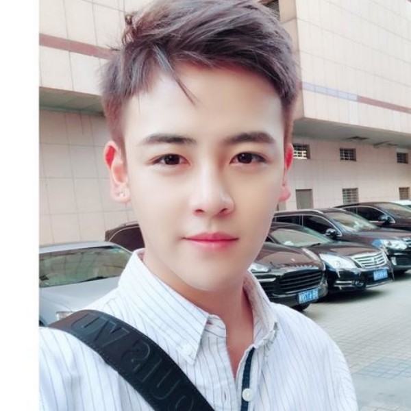 吐司追寻的照片