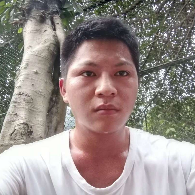 星愿回首包容的照片