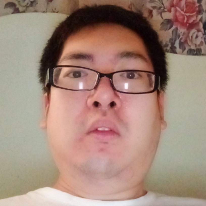 绚烂邂逅小熊猫的照片
