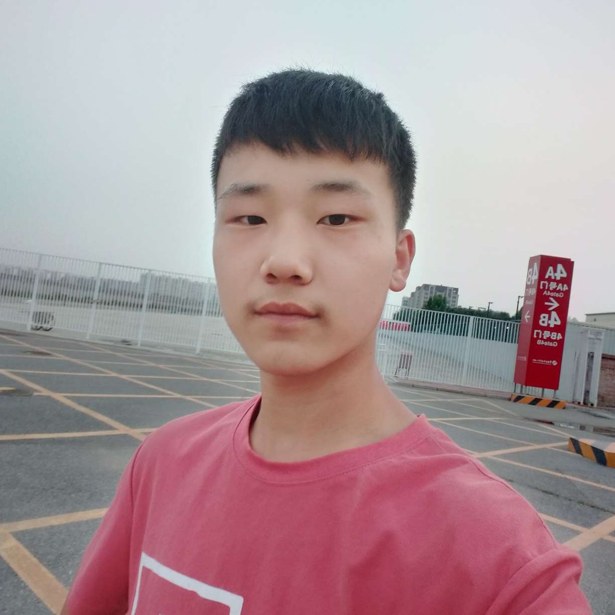 小蘑菇等于粗暴的照片