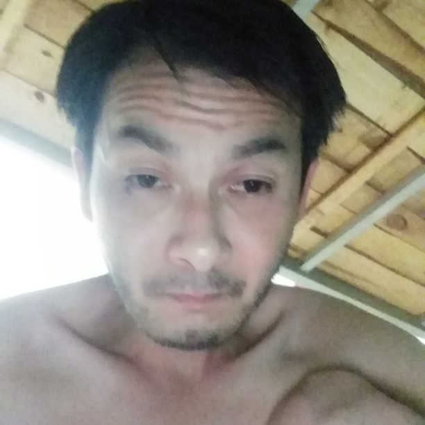 鱼寂冷的照片