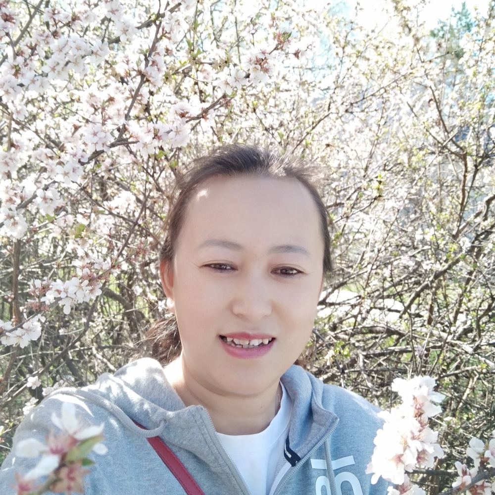 幸福迎剪影的照片