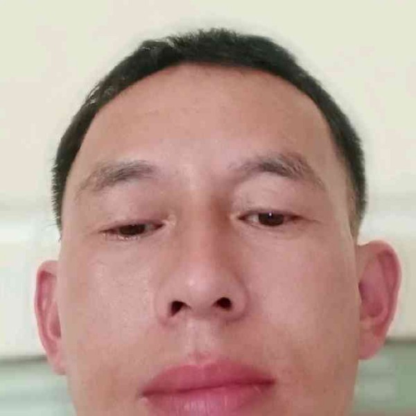 斯文挽手河马的照片