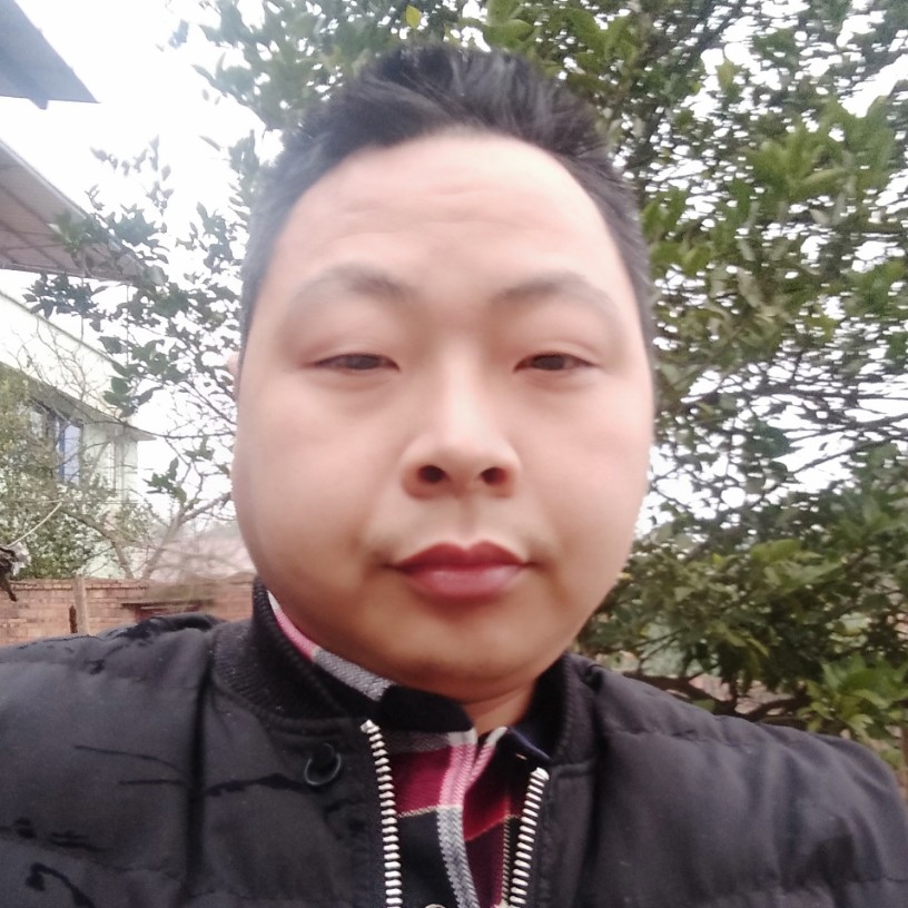 玉米与典雅的照片