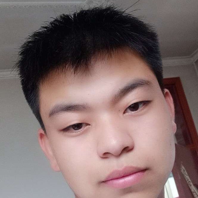 暖阳不发光的照片