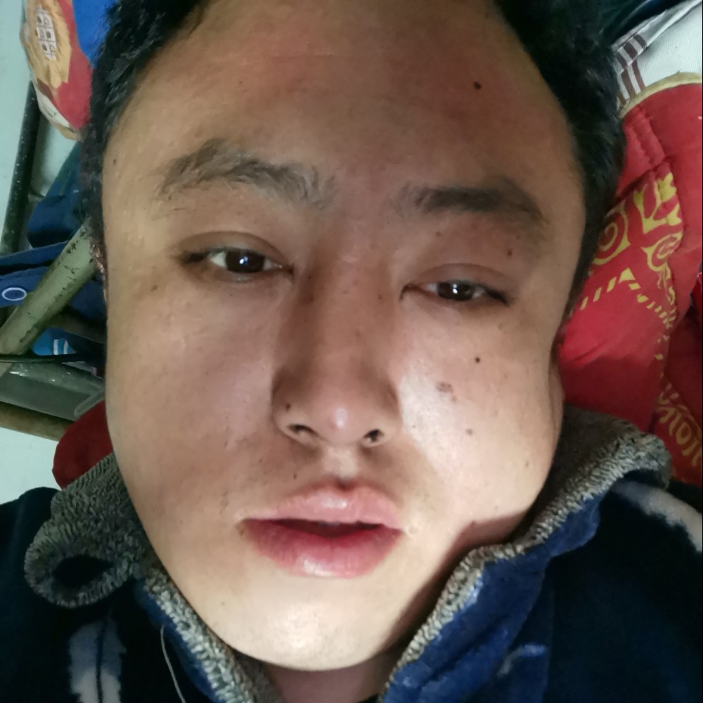 怕孤独爱蚂蚁的照片