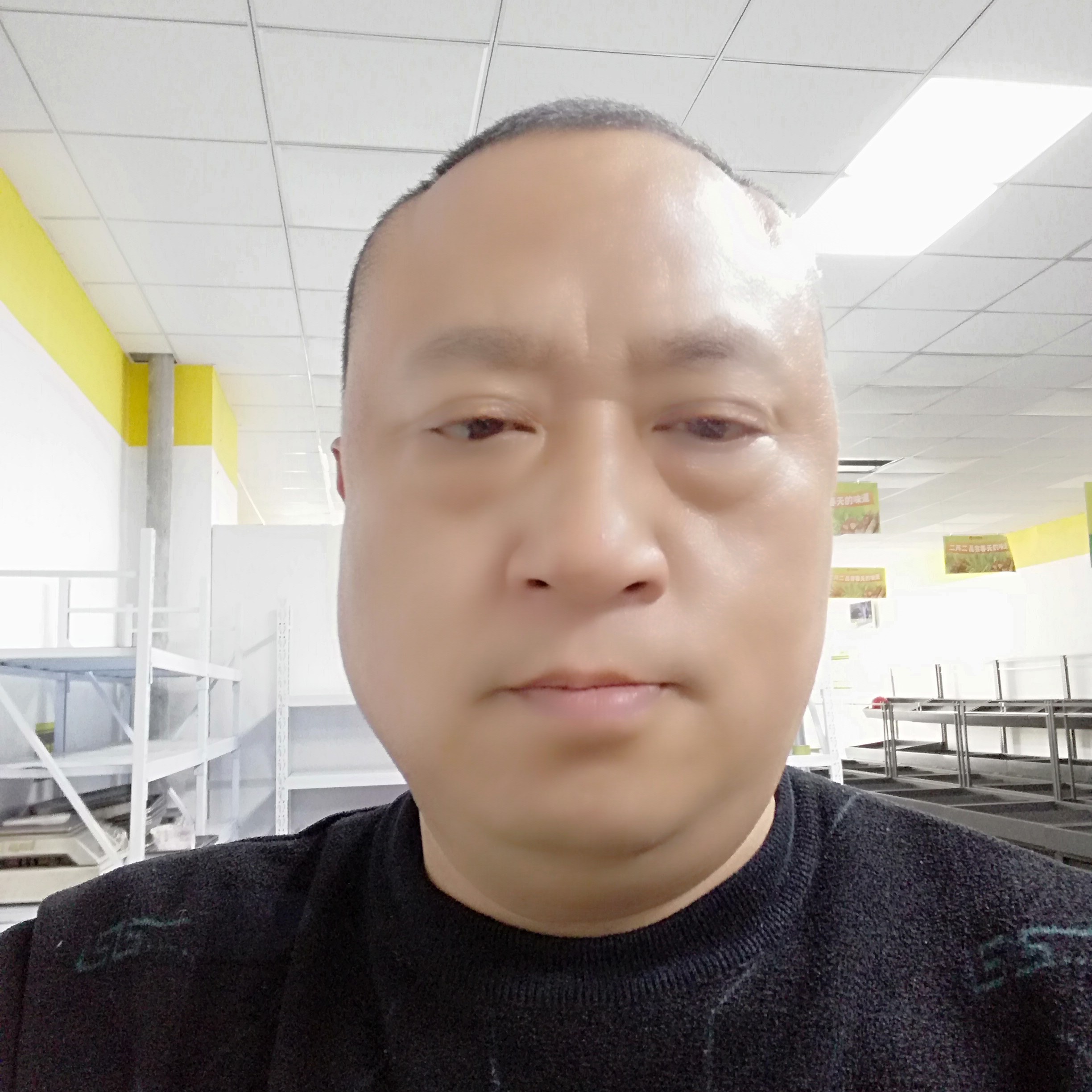 伯侨楊的照片