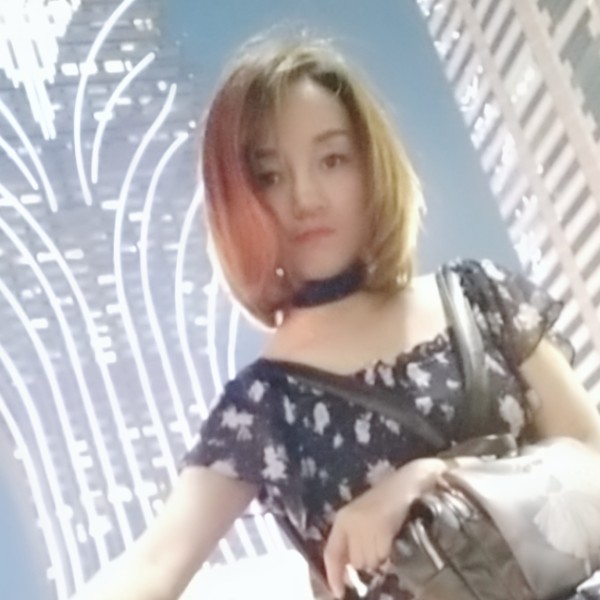 贤惠黑猫的照片