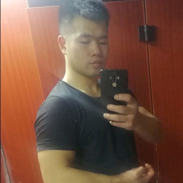 海燕开放的照片