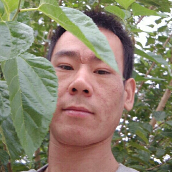 怎会想见，的照片