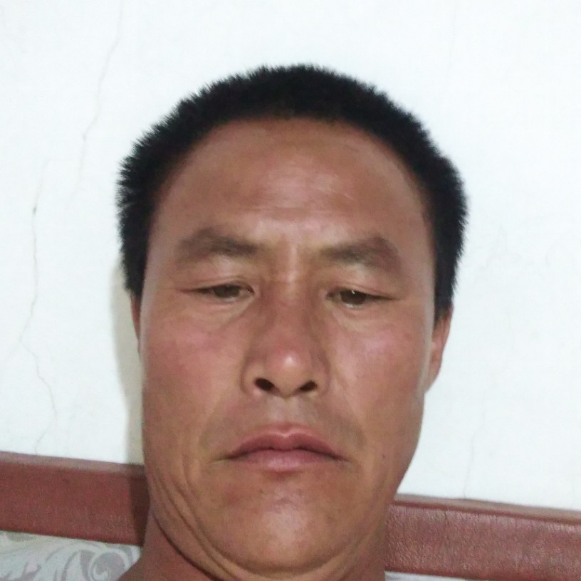 懦弱扯情话的照片