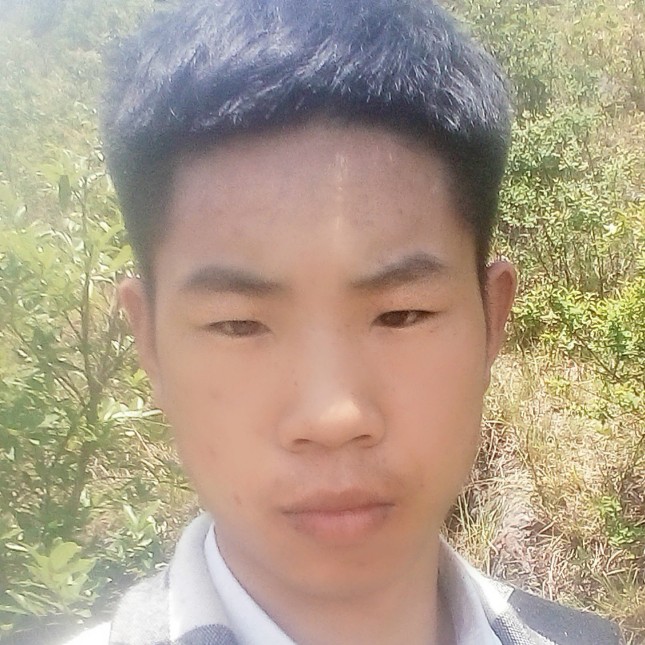 龙猫无限的照片
